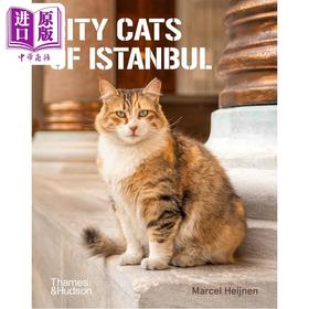 【中商原版】City Cats Of Istanbul 进口艺术 伊斯坦布尔的街头猫 T&H