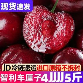 【京东包邮❗️新鲜到家🔥原箱智利车厘子】飘洋过海的情谊，从智利到中国，优选精品进口车厘子，当季应季水果，营养美味又健康，老人/孕妇/水果，新鲜水果大樱桃车厘子L