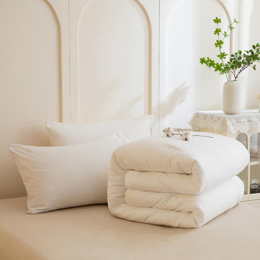 【加厚磨毛面料 整夜恒温安眠】ZOEA 自发热德绒被3.0 表面细腻绒毛 触感温暖 商品图13