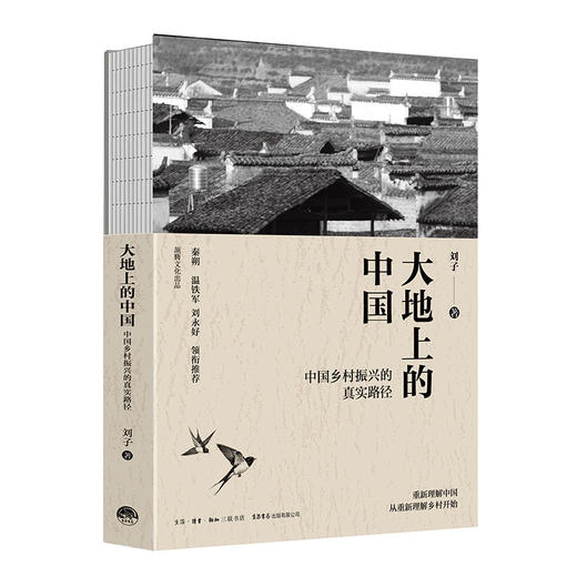 大地上的中国 商品图0