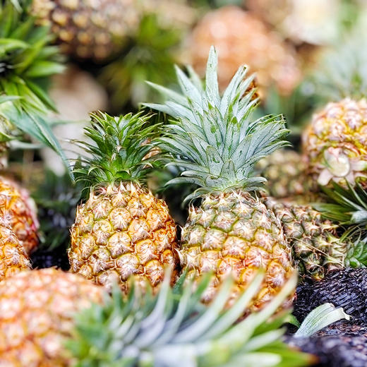 海南【风化石地金钻凤梨】自然树上熟 汁水香甜 风味更浓郁 果肉细腻 口感绵密！ 商品图5