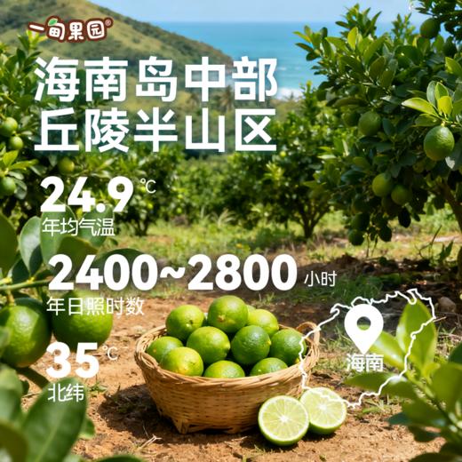 【一甸园子品牌】一甸果园 果汁系列 200ml*10 商品图9