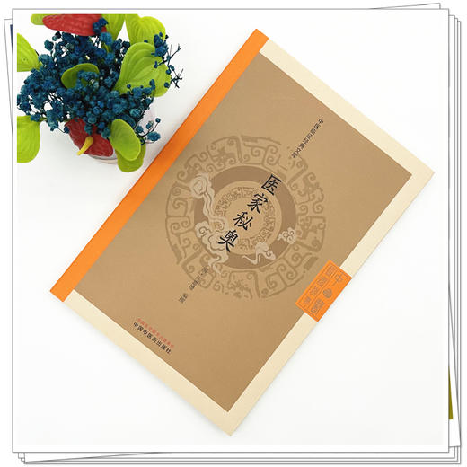 医家秘奥 中医临证经典文库 清 陈嘉璴 编撰 明清中医临证小丛书 古典医籍 书籍 临床医学 9787513295840 中国中医药出版社 商品图2