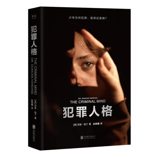 犯罪人格（李玫瑾作序，12个重罪少年的精神鉴定现场，揭秘病态人格，马皑、陈碧推荐） 商品图6