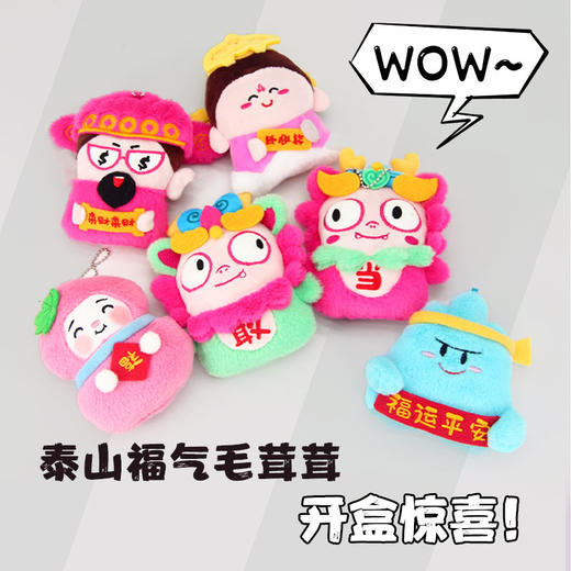 泰山赐福文创冰箱贴毛绒盲盒款财神公仔碧霞仙子家居装饰 商品图1