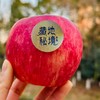 藏地冰糖心苹果|喝冰川雪水长大，圣洁高雅，水份比一般苹果要高很多，苹果自带让人痴迷的天然香气，糖分和水份占比很高，藏地糖心苹果的糖份和水分要高于其他苹果～～ 商品缩略图1