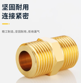 【HT】	钢丝软管对丝	四分，铜制	个