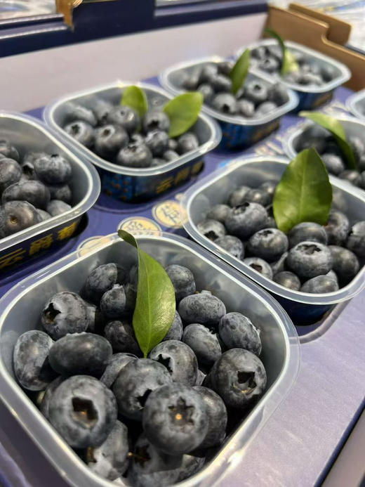 【宏丰精选】花香蓝莓，口感纯甜，果粉足，活动价16.8元一杯 商品图11