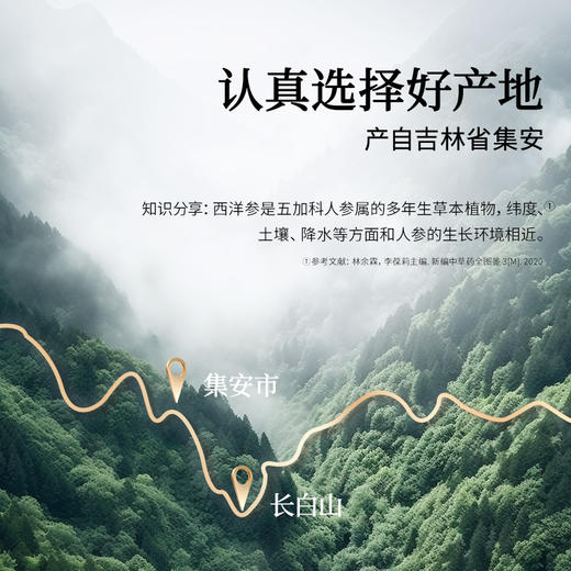 【168元任选3件】【正宗同仁堂品牌】北京同仁堂 青源堂 西洋参50克  片片精选 参香四溢 微苦回甘SY 商品图8