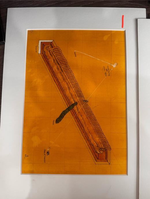 锦江丨蔡星光丨 肥料 商品图0