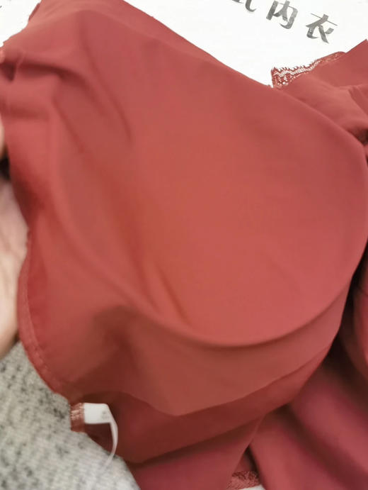 出口原单原单钩花蕾丝美背 商品图10