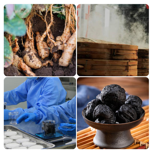 *自营*怀地黄酥 | 焦作合作基地自有种植九蒸九制熟地黄≥28%添加+8种草本黑芝麻杏仁葛根茯苓芡实黑豆陈皮砂仁。休闲零食饥饿充饥烘烤类糕点心. 商品图1