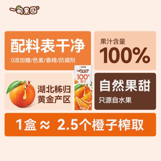 【一甸园子品牌】一甸果园 果汁系列 200ml*10 商品图2