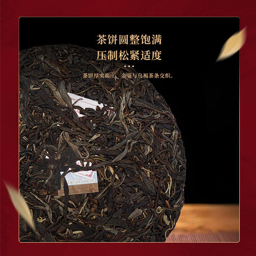 陈升福元昌 2026年骏马载福生肖纪念茶1000g(生茶） 商品图1