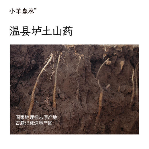 1月新品！「黑豆茯苓山药汤料包」有机黑豆 道地食材 商品图3