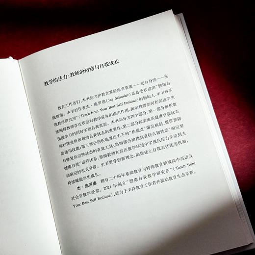 教学的活力 教师的情绪与自我成长 精装 教师职业倦怠 商品图6
