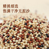 全食物日记 有机三色藜麦米500g 非真空包装及真空包装随机发货 商品缩略图3