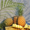 海南【风化石地金钻凤梨】自然树上熟 汁水香甜 风味更浓郁 果肉细腻 口感绵密！ 商品缩略图7