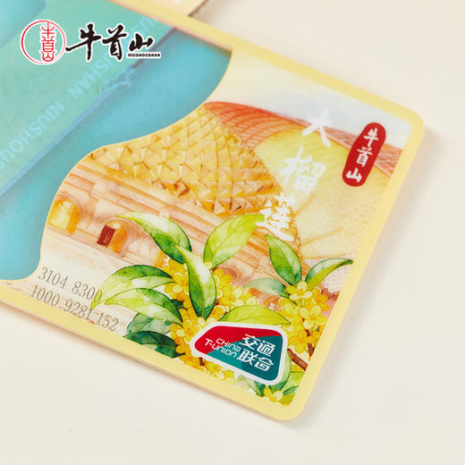 牛首山文创透明公共交通卡多城市地铁公交卡南京纪念品创意礼物 商品图4