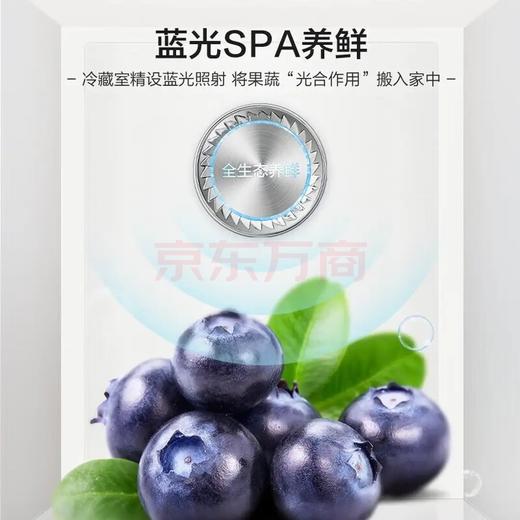 容声503升十字双开四开门冰箱 零嵌变频一级能效风冷无霜大容量底部散热BCD-503WD1FPQ 商品图8