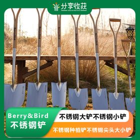 Berry&Bird不锈钢大铲不锈钢小铲不锈钢种植铲不锈钢尖头大小铲