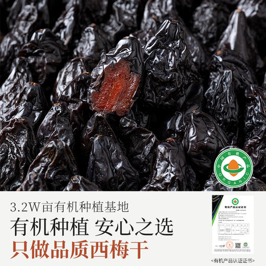 璞匠有机西梅干正品官方旗舰店新疆乌梅子果干原味零食独立小包装 商品图2