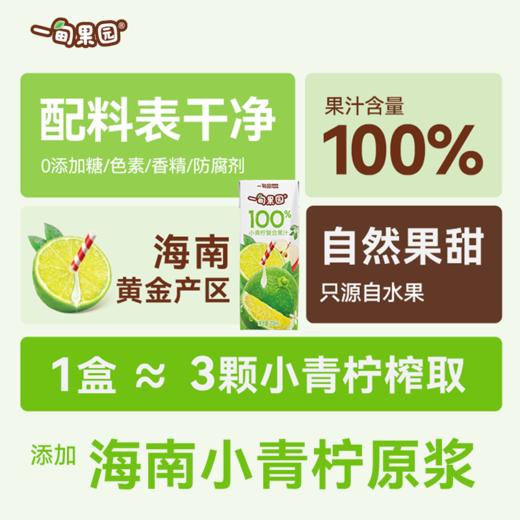 【一甸园子品牌】一甸果园 果汁系列 200ml*10 商品图10