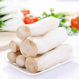 【MLT】新鲜杏鲍菇  味纯鲜香  个头均匀  质地脆嫩  细腻爽滑