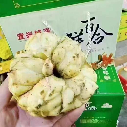 周五取货：【宜兴百合礼盒】一箱毛重3斤左右，甜糯～自然鲜～片大饱满！ 商品图8