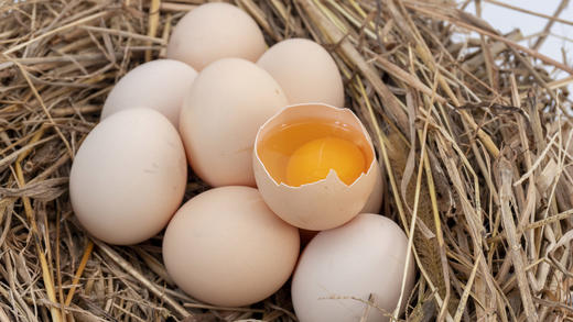 🔥【哈曼丁|金色凤堰（爱心助农）秦岭山林散养蛋】 ✅散养土鸡就养在秦岭巴山中间 ✅满山都是树 🌼没有工业污染 空气清新 ✅土鸡吃的是五谷饲料、野草、虫蚁、🍁喝的溪水全是天然的 商品图2