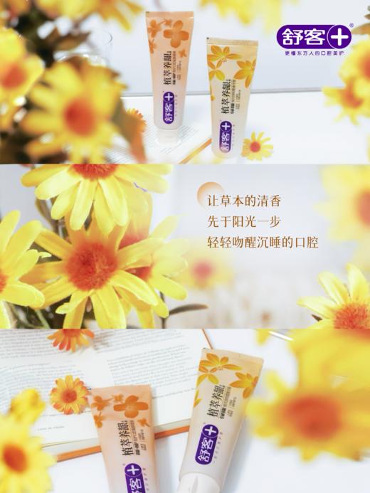 【社群专享】舒客植萃养龈牙膏180克  舒客茶真萃清新牙膏175克   经典洁净牙刷  送：代言人周边钥匙扣，拼团成功自动加送，无需备注 商品图5