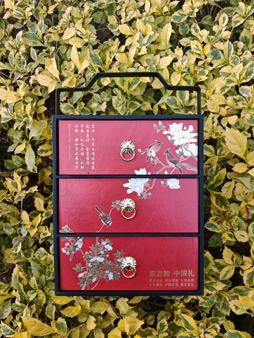 绝版捡漏❗️特级九龙窠正岩肉桂茶礼盒 核心产地茶叶，岩骨花香，浓而不涩 国家地理标志！ 商品图9