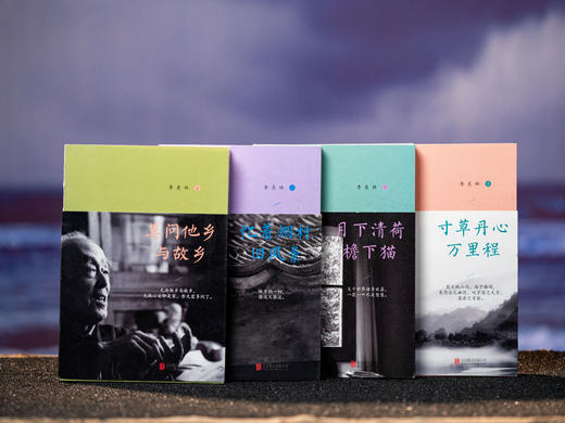 《季羡林作品集》（全4册）|赏美文、观人生、忆师友，国人的精神底蕴，成年人的治愈宝典，浮躁时就读一读季羡林 商品图0