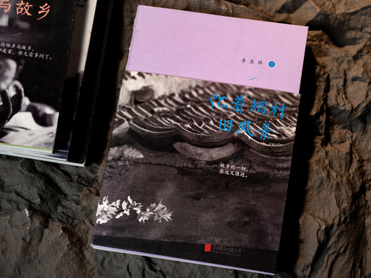 《季羡林作品集》（全4册）|赏美文、观人生、忆师友，国人的精神底蕴，成年人的治愈宝典，浮躁时就读一读季羡林 商品图4