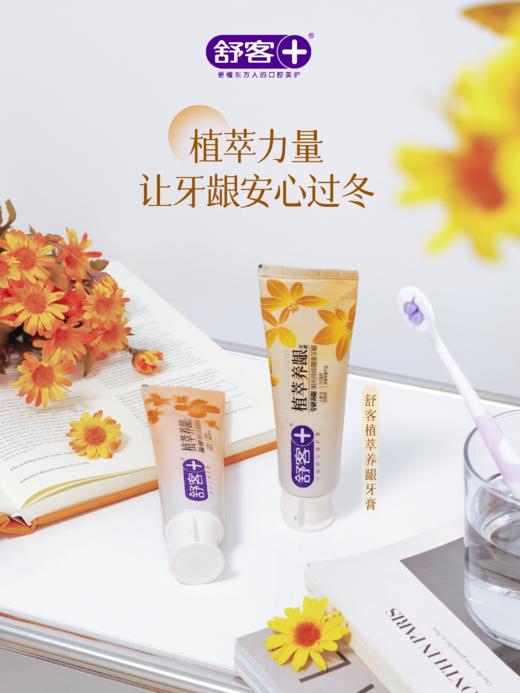 【社群专享】舒客植萃养龈牙膏180克  舒客茶真萃清新牙膏175克   经典洁净牙刷  送：代言人周边钥匙扣，拼团成功自动加送，无需备注 商品图7