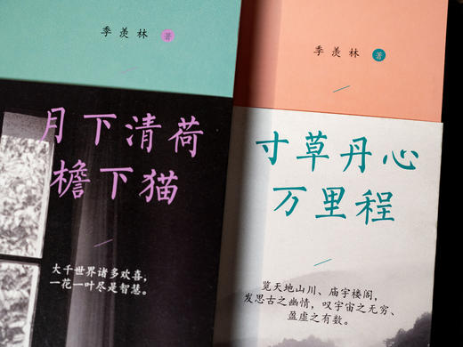 《季羡林作品集》（全4册）|赏美文、观人生、忆师友，国人的精神底蕴，成年人的治愈宝典，浮躁时就读一读季羡林 商品图3