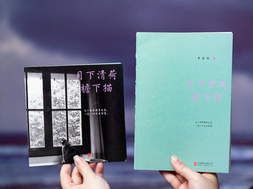 《季羡林作品集》（全4册）|赏美文、观人生、忆师友，国人的精神底蕴，成年人的治愈宝典，浮躁时就读一读季羡林 商品图5