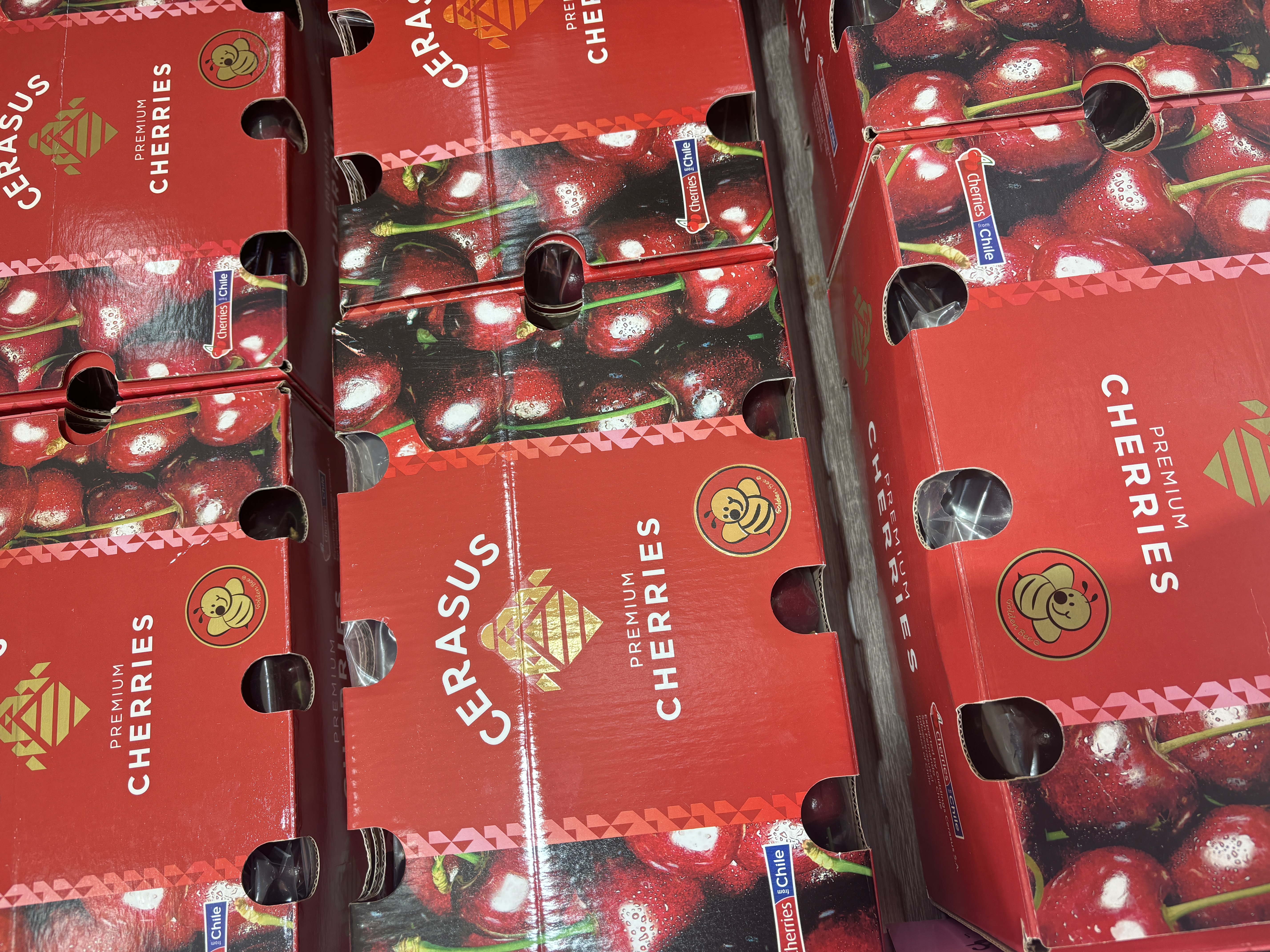 158元一件智利拉宾斯2JD车厘子5斤原箱