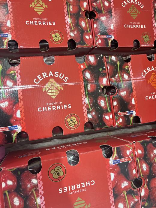 158元一件智利拉宾斯2JD车厘子5斤原箱 商品图0