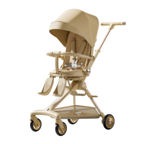 AIrud(艾瑞迪）双向遛娃手推车