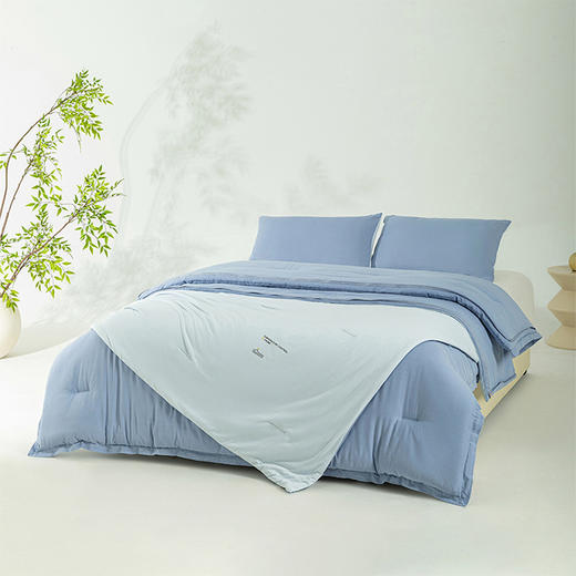 顶柔一品蚕柔可水洗蚕丝控温被BX2265 商品图4