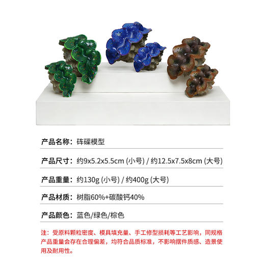 仿真砗磲摆件 商品图3