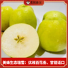 【顺丰/京东】美蜂彩虹苹果礼盒 黄金秦脆+贵妃+瑞雪  高山净土 生态种植 远离污染 口感蜜脆浓香 BMF 商品缩略图3