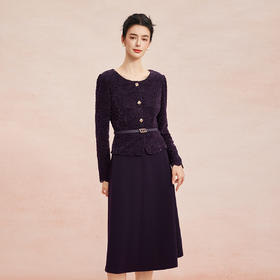 RE809斯尔丽2026春季新款蕾丝类假两件可日常可宴会着装修身显瘦连衣裙