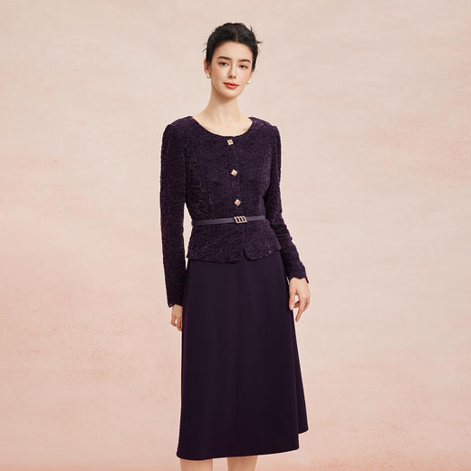 RE809斯尔丽2026春季新款蕾丝类假两件可日常可宴会着装修身显瘦连衣裙 商品图0