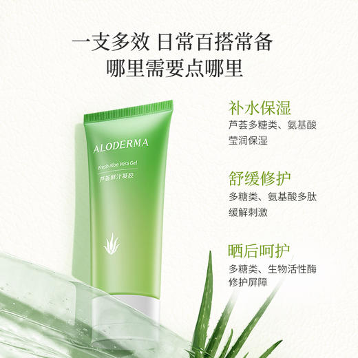 【品牌月专享】瑷露德玛芦荟鲜汁凝胶 45g/114g（明星产品）  芦荟胶  保湿、舒缓、修护 库拉索芦荟汁排成分首位 商品图2