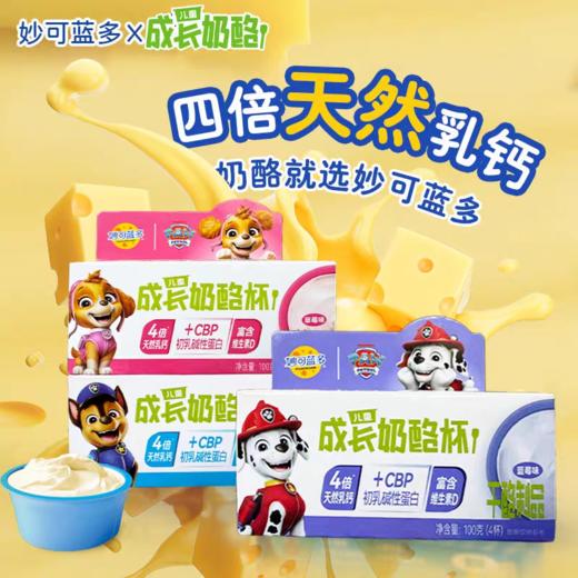 妙可蓝多儿童成长奶酪杯 商品图2