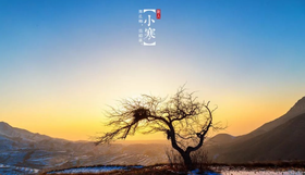  顺时养生 | 小寒食养 · 慧吃会做（下）小寒好食材：山药