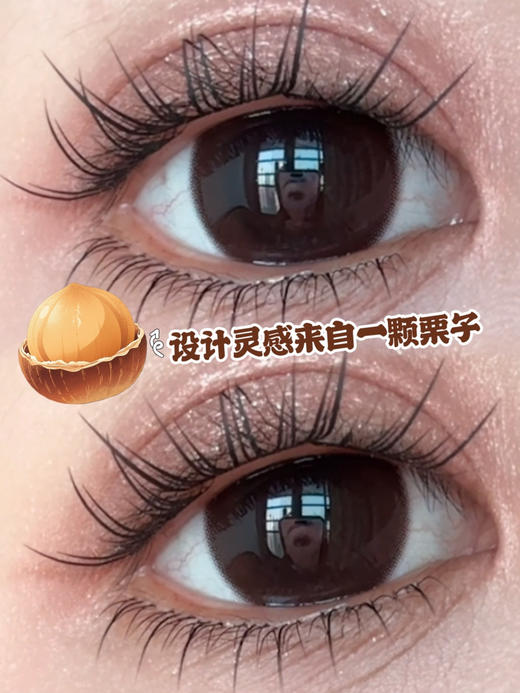 Big Chestnut满满栗子棕·半年抛型 商品图0
