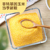 中粮初萃 东北玉米糁玉米碴1kg五谷杂粮 袋装 商品缩略图5